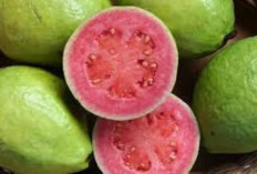 Buah-buahan yang Mengandung Vitamin C Lebih Banyak dari Jeruk