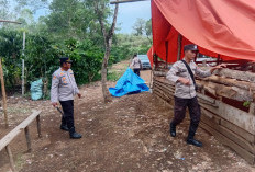 Bongkar Arena Sabung Ayam, Polsek Pajar Bulan Cegah Perjudian di Desa Pajar Tinggi Lahat