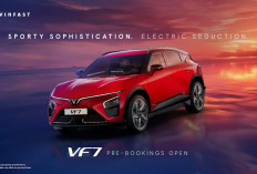 VinFast VF7 Siap Debut di GIIAS 2025, Ini Spesifikasi dan Varian Lengkapnya!