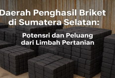 Daerah Penghasil Briket di Sumatera Selatan, Potensi dan Peluang dari Limbah Pertanian