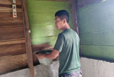 Begini Progres Rehab RTLH Titik 2 Program TMMD ke-128 Kodim Lahat di Desa Lubuk Tampang