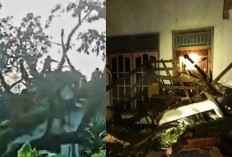 Porak Poranda Diterjang Angin, Warga OKU Timur Keluhkan Minimnya Bantuan