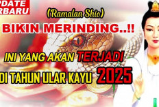 Penasaran Gak, Shio Kamu Bakal Ngapain Aja di Tahun Ular Kayu 2025? Cek Ramalannya di Sini Bestie!