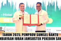 Cover Jamsostek Pekerja Sumsel Masih Rendah, Tahun Depan Pemprov Bantu Pembiayaan Iuran Pekebun Sawit