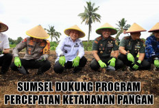 Dukung Program Percepatan Ketahanan Pangan, Pemprov Sumsel Ambil Langkah Jitu dan Terukur