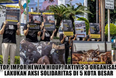Stop Impor Hewan Hidup! Aktivis 3 Organisasi Lakukan Aksi Solidaritas di 5 Kota Besar