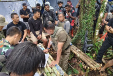 Wah! 3 Jenderal Turun Langsung Pimpin Pencarian Iptu Tomi S. Marbun di Hutan Belantara Papua Barat