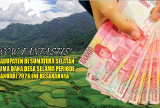 Wow Fantastis! 4 Kabupaten di Sumatera Selatan Terima Dana Desa Selama Periode Januari 2024, Ini Besarannya