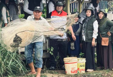 Dari Keramba ke UMKM, Program Karo Mamang Bikin Warga Mangunjaya Makin Sejahtera
