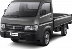 Suzuki New Carry Kini Tampil Lebih Stylish dengan Varian Warna Baru, Harga Tetap Ramah di Kantong!
