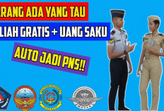 Rekomendasi Sekolah Kedinasan dengan Rasio Pendaftar Terendah: Peluang Emas Jadi PNS