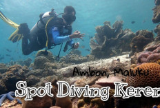 6 Spot Diving Terbaik di Indonesia yang Mendunia, Suguhkan Indahnya Surga Bawah Laut!