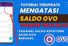 Transfer Saldo OVO Gagal? Jangan Panik, 7 Alasan Ini Bisa Jadi Penyebabnya!