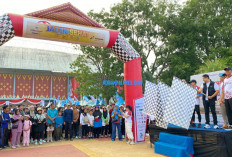 Pecah di Jakabaring, Ribuan Peserta Ikut Jalan Sehat Sumatera Ekspres