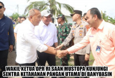Kepada Wakil Ketua DPR RI Saan Mustopa, Petani di Banyuasin Ngeluh Sulit Jual Jagung ke Bulog, Ini Sebabnya!