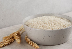 6 Tips Menyimpan Beras agar Tidak Berkutu, Rahasia Menjaga Kualitas Beras Tetap Terbaik