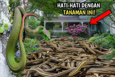 Jangan Asal Menanam! Inilah 4 Jenis Tanaman yang Ternyata Menjadi Tempat Favorit Ular untuk Bersembunyi