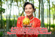 Pertengahan Mei Bikin Happy! 5 Shio Ini Lagi Dapat Durian Runtuh, Cinta Lancar, Rezeki Ngucur Terus