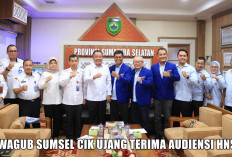 Diminta Bangunkan Tempat Pelelangan Ikan, Jawaban Wagub Sumsel Membahagiakan Himpunan Nelayan