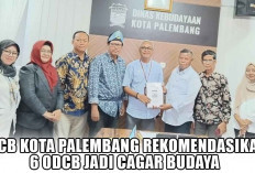 Rekomendasikan 6 ODCB Jadi Cagar Budaya, ini Kata Juru Bicara TACB Kota Palembang