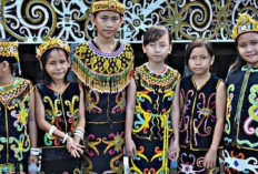 Suku-suku di Provinsi Kalimantan Timur: Pribuminya Kelompok Adat Melayu dan Dayak, Pendatang Juga Dominan