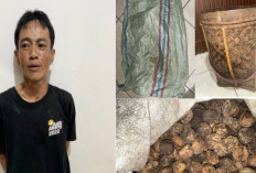 Kabid Humas Polda Sumsel: Pelaku Curat di Desa Bumi Genap Ditangkap, Ini Barang Bukti Disita