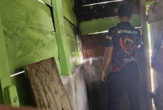 Ini Proses Rehab RTLH Titik 2 di Desa Lubuk Tampang Dilakukan Satgas TMMD Kodim Lahat