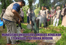 Dukung Pertanian Berkelanjutan, Mahasiswa KKN Universitas Andalas Edukasi Keunggulan 2 Teknologi Modern