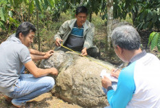 Suku-suku di Provinsi Sumatera Selatan: Lingua Franca-nya Adalah Bahasa Palembang 