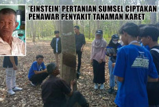 Einstein Pertanian Sumsel Ciptakan Penawar Penyakit Tanaman Karet, Sayangnya Belum Bisa Edar, Karena…