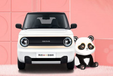 Tampang Sporty, Harga Terjangkau: Inilah Mobil Listrik Mungil Rp 100 Jutaan! 