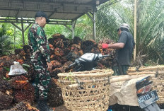 Disela-sela TMMD 128, Pasiter Kodim 0405 Lahat Lakukan Hal Ini Serap Asmara Petani Sawit Lubuk Tampang 