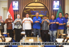 Ditemui Pengurus APJII Sumsel, Gubernur Herman Deru Minta Gembirakan Masyarakat dengan Literasi Internet Murah