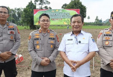 Dukung Ketahanan Pangan, OKU Timur Siapkan 19.000 Ha Lahan Jagung Tahun Ini