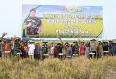 Perdana! Danrem Gapo Hadiri Panen Raya Padi Gogo, Ini Lokasinya