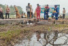 Dukung Pembangunan di Sumsel, Kilang Pertamina Plaju dan Pemprov Sumsel Bangun Taman Rawa di Jakabaring