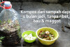 Rahasia Kebun Lebat: Tips Bikin Pupuk Kompos dari Sampah Dapur Agar Cepat Berbunga