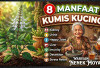 8 Manfaat Kumis Kucing untuk Kesehatan Tubuh Sebagai Ramuan Herbal Warisan Nenek Moyang