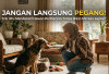 Jangan Langsung Pegang! 5 Trik Jitu Mendekati Hewan Peliharaan Tanpa Bikin Mereka Agresif