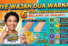 Bye Wajah Dua Warna! 6 Cara Menghilangkan Belang di Wajah Secara Kilat Tanpa Perawatan Mahal