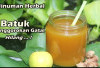 Tenggorokan Gatal Langsung Plong! 5 Obat Tradisional Paling Ampuh untuk Meringankan Batuk Kering Secara Alami