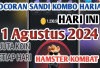 Spill Sandi dan 3 Kartu Combo Hamster Kombat Hari Ini 1 Agustus 2024, Klaim Bonus Sebanyak-Banyaknya di Sini