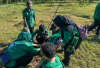 Peringati Hari Bumi, Ini Jumlah Pohon Yang Ditanam Yayasan WINGS Peduli di Adventureland Romokalisari