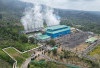 Diminati Sektor Industri, Penjualan Listrik Hijau REC PLN Tumbuh Sepanjang 2025, Berapa Persen