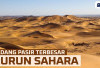 5 Fakta Menarik Gurun Sahara, Padang Pasir Terpanas di Dunia