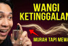 6 Rekomendasi Parfum Lokal Tahan Lama, Bertahan Hingga 12 Jam!