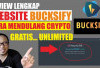 Cara Mudah Dapat Saldo DANA Gratis Melalui Website Bucksify, Sambil Rebahan juga Bisa!
