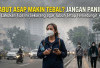 Kabut Asap Makin Tebal? Jangan Panik, Lakukan 5 Tips Ini Sekarang agar Tubuh Tetap Terlindungi!
