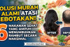 Solusi Murah dan Alami Atasi Kebotakan! Ini 6 Makanan Sehat yang Ampuh Menumbuhkan Rambut Secara Maksimal