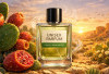5 Pilihan Parfum Unisex dengan Notes Prickly Pear, Wanginya yang Khas Memikat!